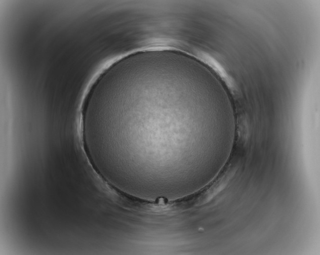 X0000094941472200711291343