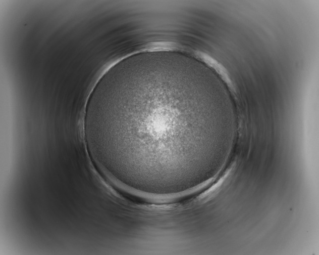 X0000094941473200711291343