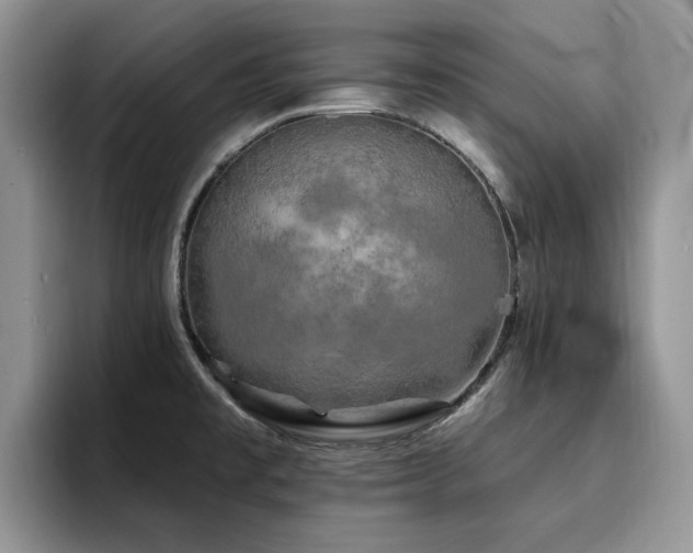X0000094941477200711291343