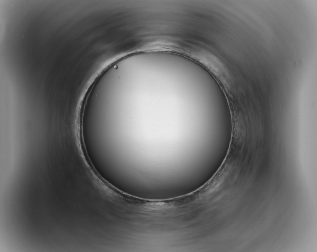 X0000094941478200711291343