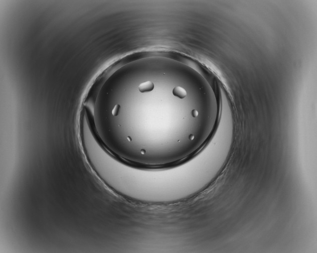 X0000094941480200711291343