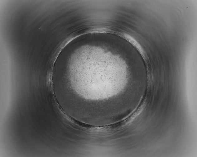 X0000094941481200711291343
