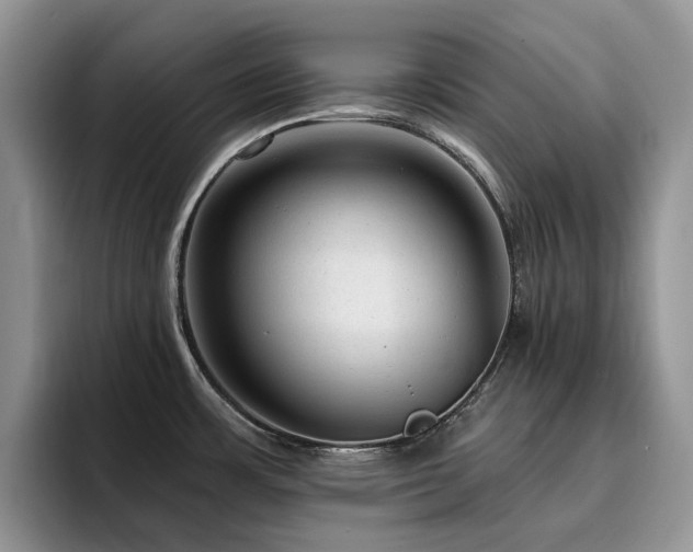 X0000094941483200711291343