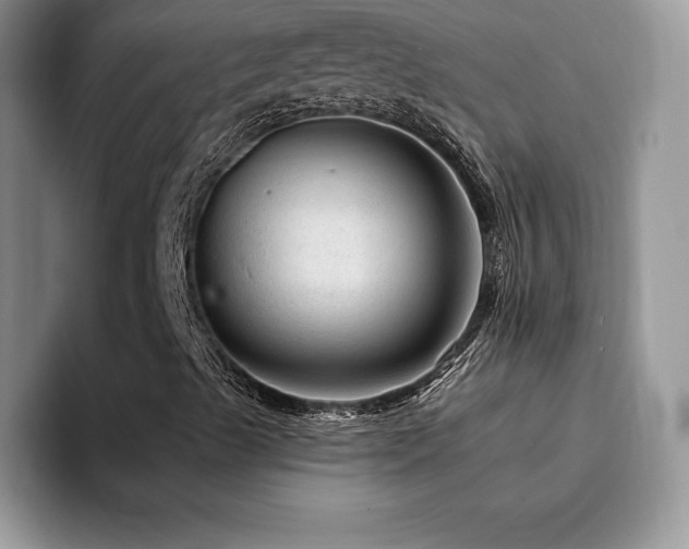 X0000094941489200711291342