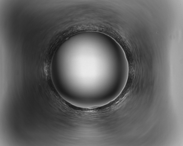X0000094941490200711291342