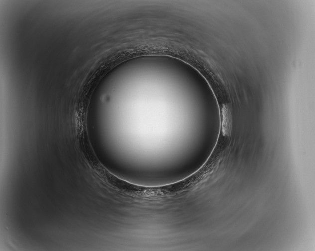 X0000094941491200711291342