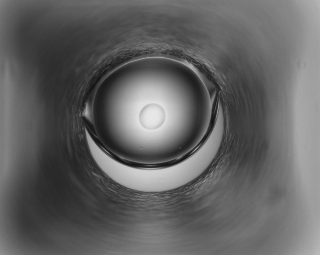 X0000094941492200711291342