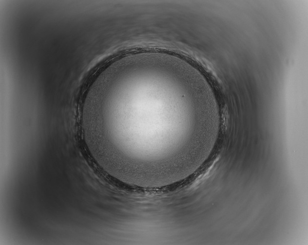X0000094941494200711291343