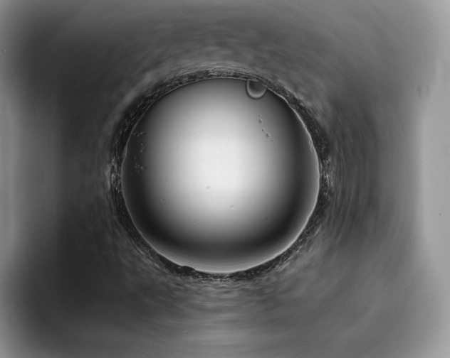 X0000094941495200711291343