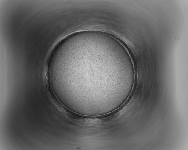 X0000094941498200711291343