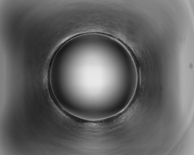 X0000094941500200711291343