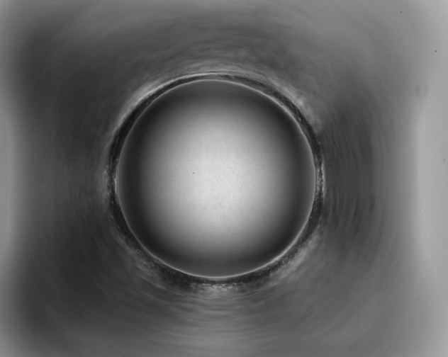 X0000094941501200711291343