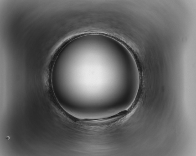 X0000094941502200711291343