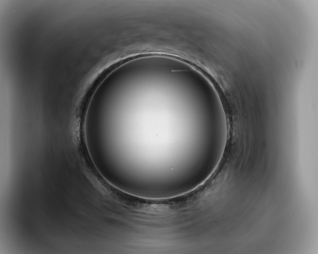 X0000094941503200711291343