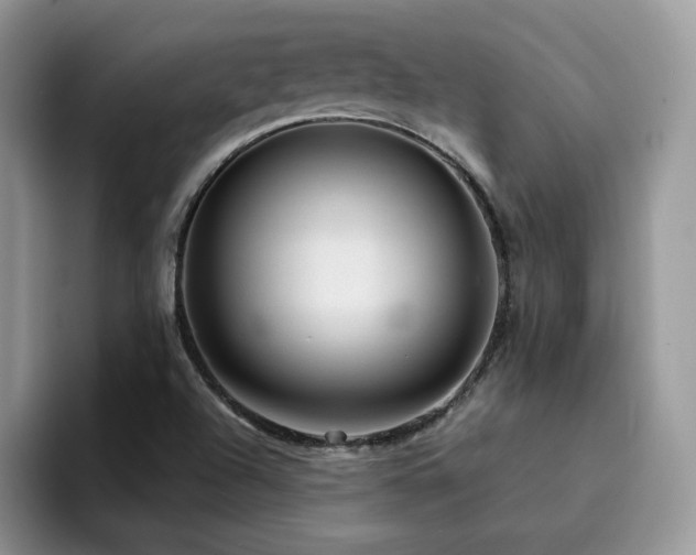 X0000094941504200711291343