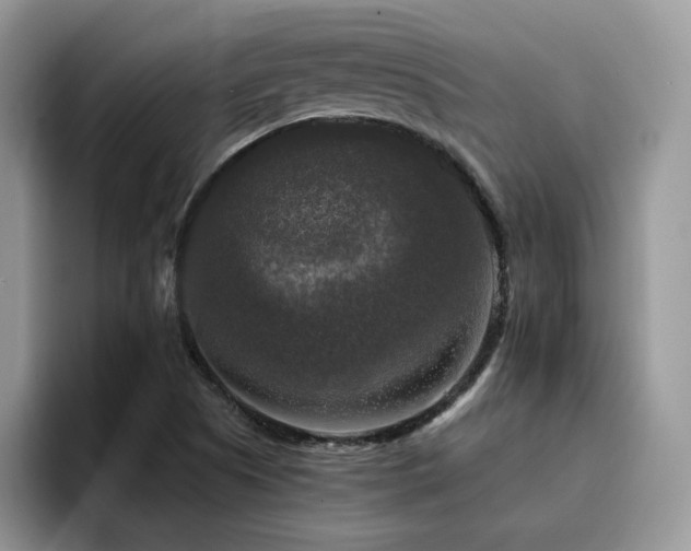 X0000094941505200711291343