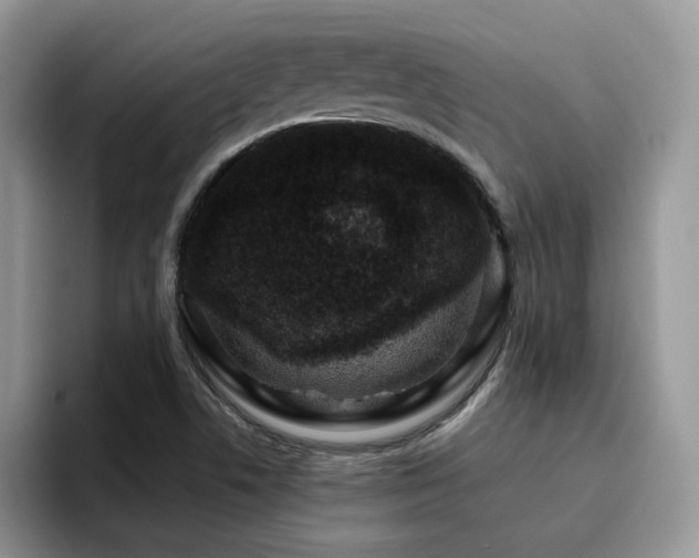 X0000094941506200711291343