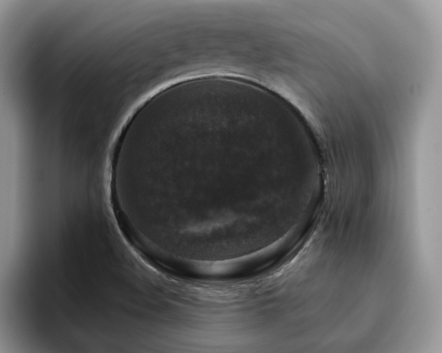 X0000094941508200711291343