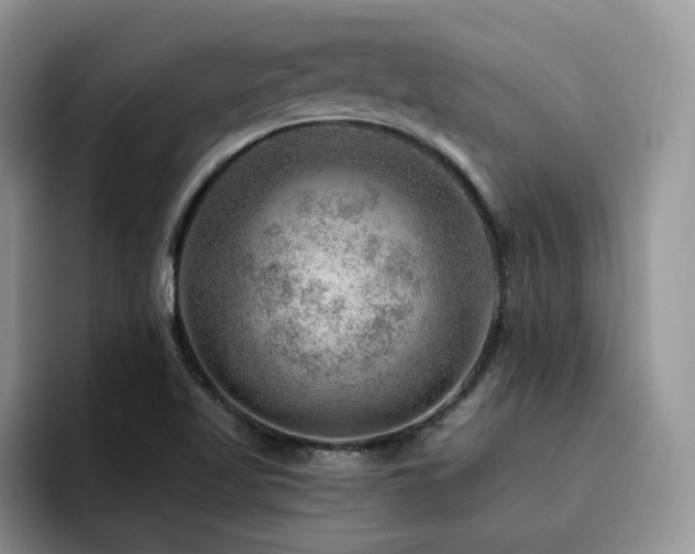 X0000094941509200711291343