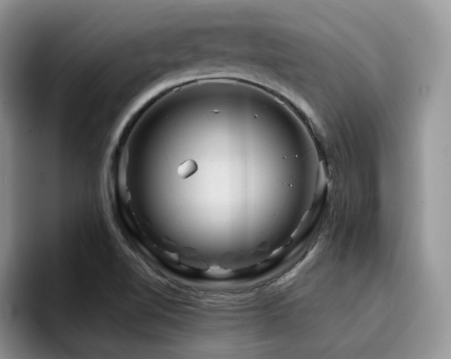 X0000094941510200711291343