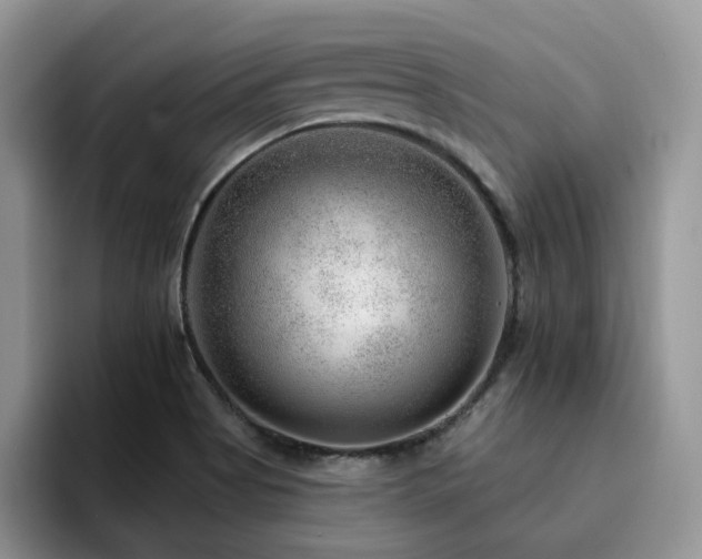 X0000094941513200711291343