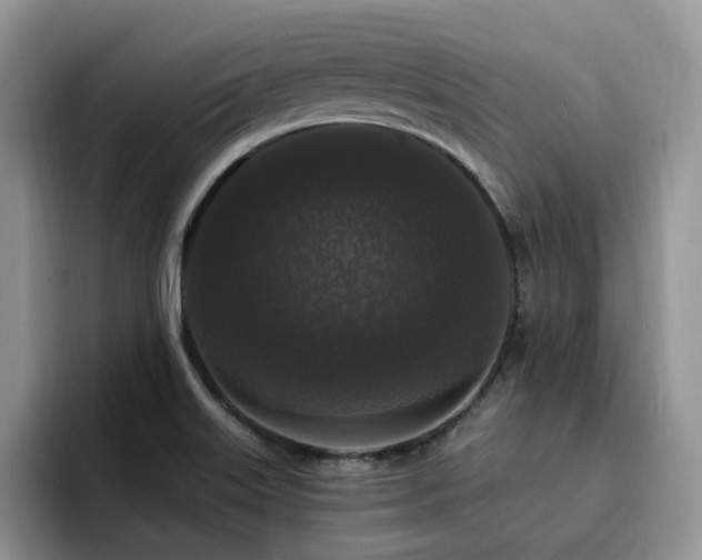 X0000094941515200711291343