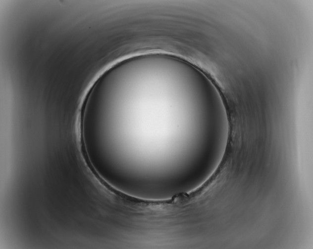 X0000094941516200711291343