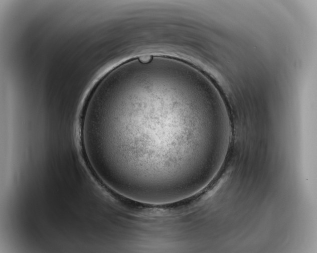 X0000094941517200711291343