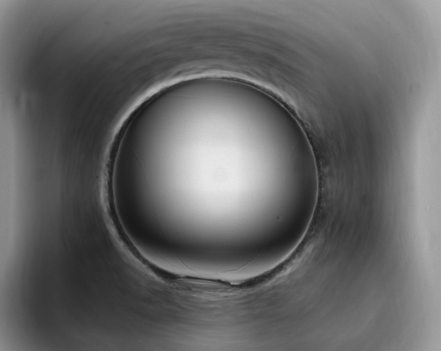 X0000094941518200711291343