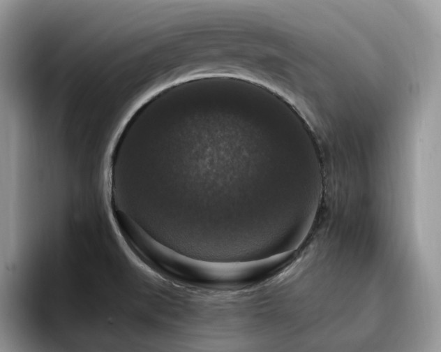 X0000094941519200711291343