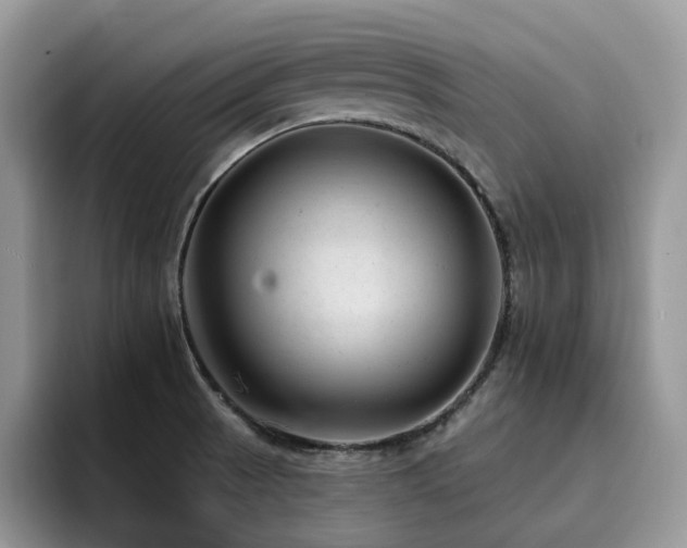X0000094941521200711291343