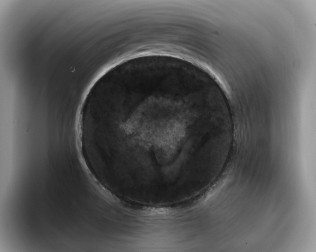 X0000094941522200711291343