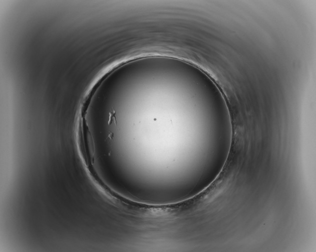 X0000094941523200711291343
