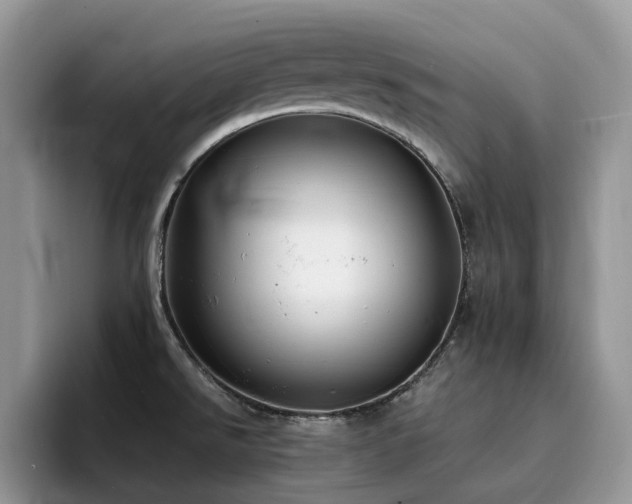 X0000094941526200711291343