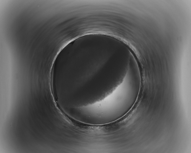 X0000094941529200711291343