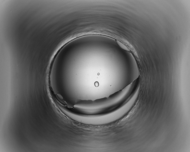 X0000094941530200711291343
