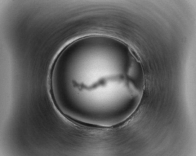 X0000094941531200711291343