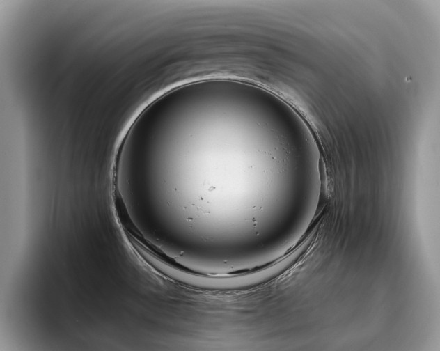 X0000094941532200711291343