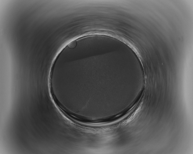 X0000094941533200711291343