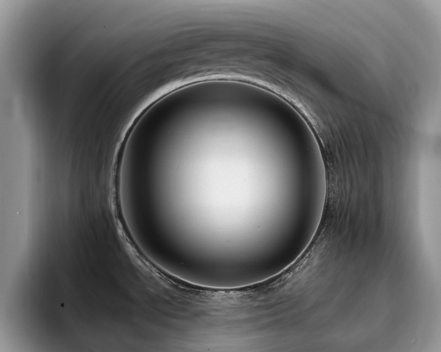 X0000094941534200711291343