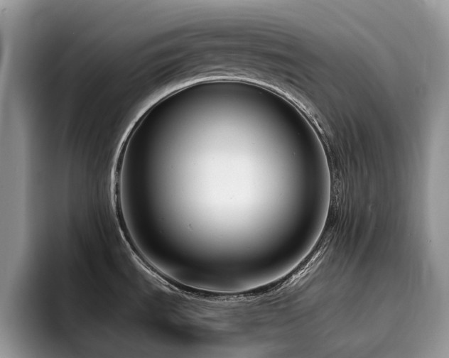 X0000094941535200711291343