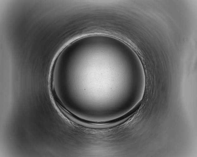 X0000094941536200711291343