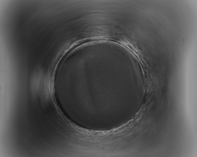 X0000094940002200712061240