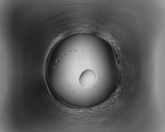 X0000094940003200712061240