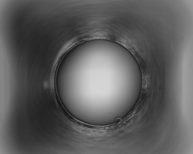 X0000094940004200712061240