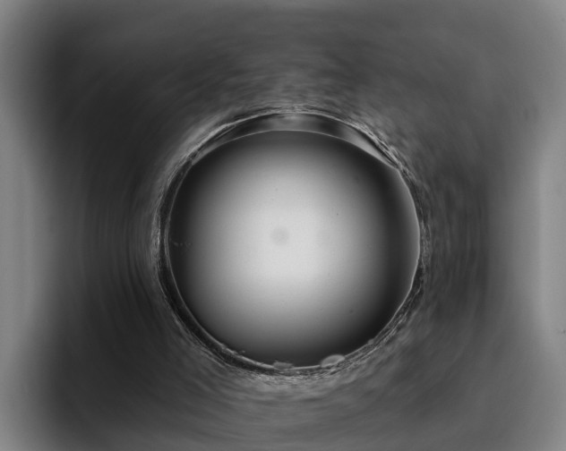 X0000094940005200712061240