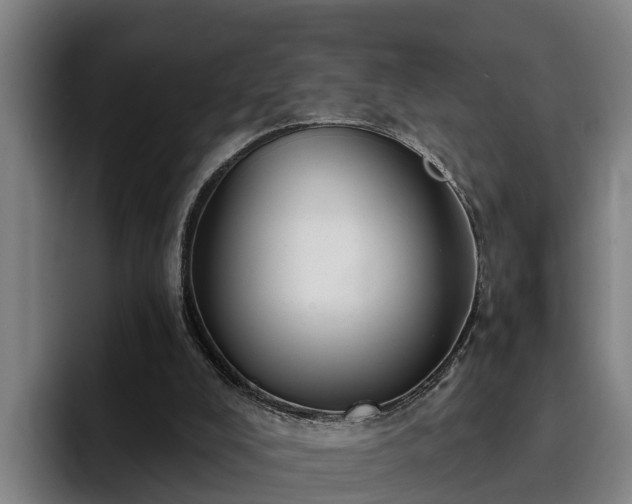 X0000094940008200712061240