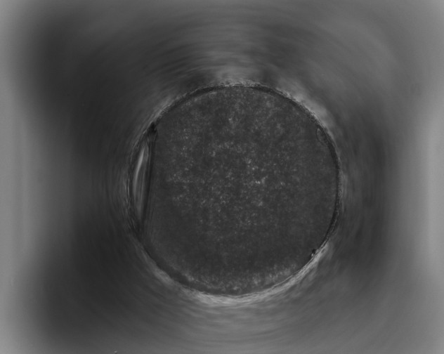 X0000094940009200712061240