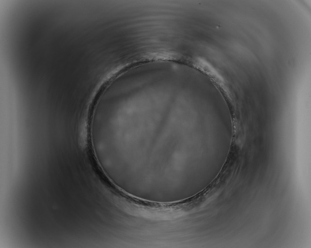 X0000094940012200712061240