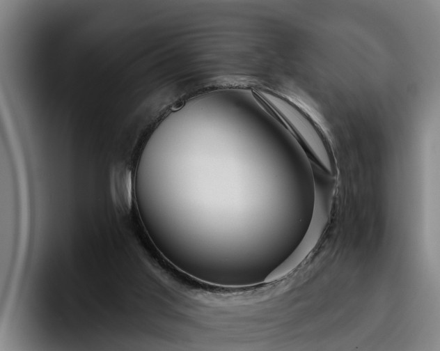 X0000094940013200712061240